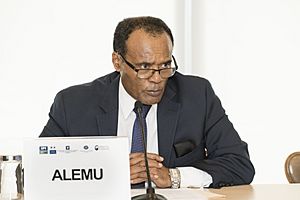 Tekeda Alemu, Permanent Representative of Ethiopia to the UN (35593137122)