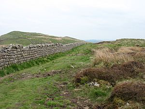 The Hadrian's Wall Path near Winshield Crags - geograph.org.uk - 3535341