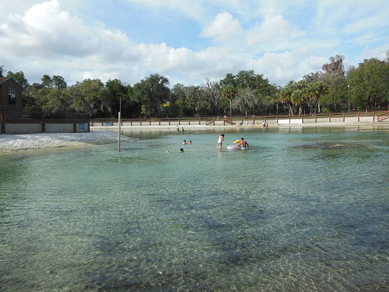 Image The swimming area at Lithia Springs Park, Florida January 4, 2015