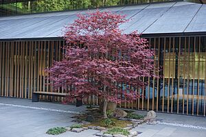 Tsubo-Niwa at Portland Japanese Garden