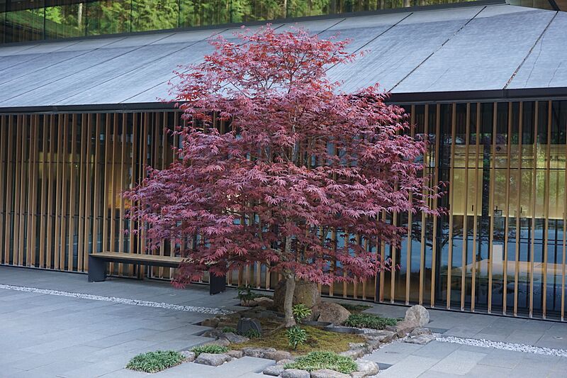 Tsubo-Niwa at Portland Japanese Garden