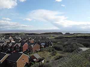 View over part of Rhoose Point Facing SE - March 28 2009