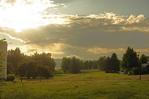 Viitaniemi 2008-06-29