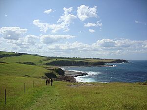 Walking near Wollongong