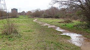 Wandle Meadow Nature Park 3