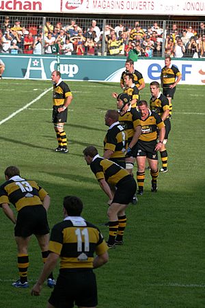 LV= Cup 2010-11, Rugby Union, Anglo Welsh Tournament