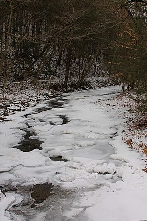 West Branch Run in wintertime 1