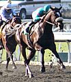 Zenyatta2009LadySecret
