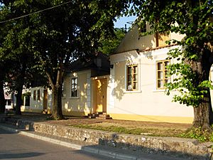 Zmajev muzej, Sremska Kamenica