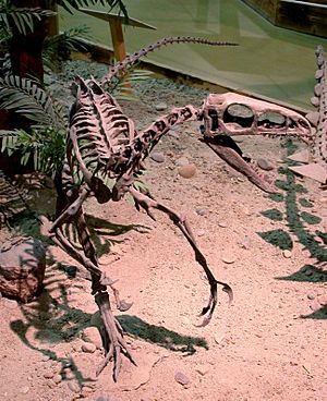Zuni Coelurosaur.jpg