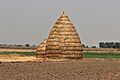 A traditional method of storing wheat hay in Punjab
