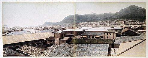 A view of the Hakodate Foreign Settlement, c. 1880