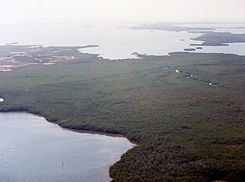 Saddlebunch Keys Facts for Kids