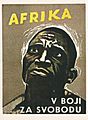 Africa cs poster