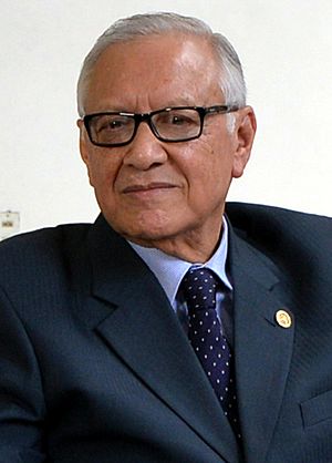 Alejandro Maldonado 2015 (cropped).jpg