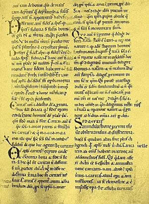 Anselm Sentences