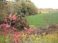 Aurora Old Fort Site 2010 Whitchurch-Stouffville
