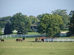 Horse farm in Barrington Hills
