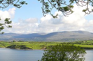 Whiddy Island seen from the south shore of Bantry Bay