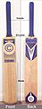 Bat(cricket)