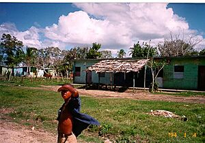 Batey Marg 2