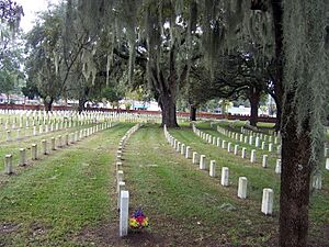 Beaufortnatcem