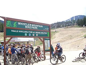 Bike Park Bottom