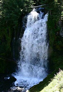 Bridge Creek, Ochoco Mountains.jpg