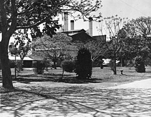 Brisbane City Council Powerhouse at New Farm Park, Brisbane, 1936 (6983285039)