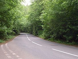 Brockley Combe Road (geograph 2422535).jpg