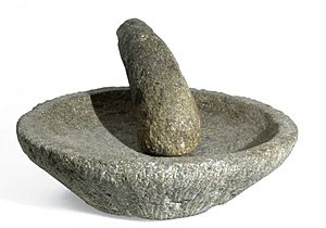 COLLECTIE TROPENMUSEUM Stenen bord met stamper voor het maken van sambal TMnr 3934-42a
