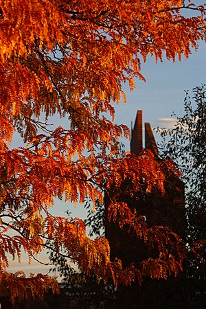 Carillon with fall foliage