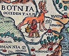 Carta Marina - milking reindeer