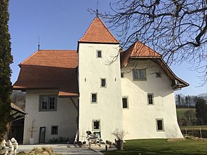 Château de Vuippens