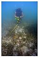 Chavez Shipwreck Site