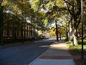 Cherry Street2