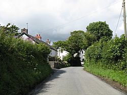 Cottages In Sardis - geograph.org.uk - 1413290.jpg