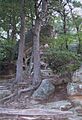 Cumberland Pinnacle Rock