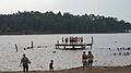 Cypress Lake, Bossier Parish, LA IMG 6497