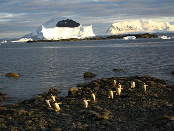 Danco Island, Antarctica.jpg