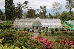 Darjeeling Botanical Garden 02