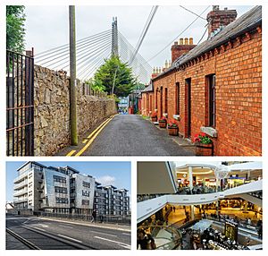Clockwise from top: William Dargan Bridge as seen from Victoria Terrace; the interior of Dundrum Town Centre;  "The Laurels" apartment complex in central Dundrum