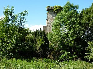 Elphinstone tower 190609 - 01