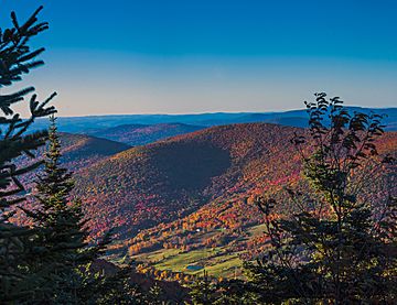 Evergreen Mountain in autumn from Buck Ridge Lookout, Catskills.jpg