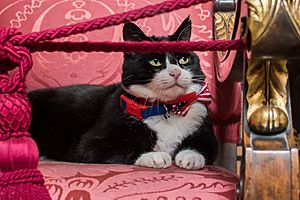 FCO Chief Mouser Palmerston.jpg