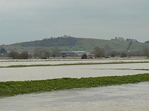 Flooded fields by the River Brue - geograph.org.uk - 727820