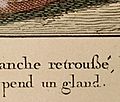 French Eszett