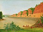 George Catlin - South Side of Buffalo Island, Showing Buffalo Berries in the Foreground - 1985.66.387 - Smithsonian American Art Museum