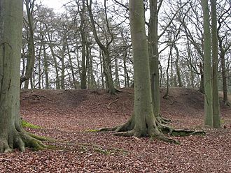 Grimsbury Castle, Iron Age Hill Fort - geograph.org.uk - 886.jpg