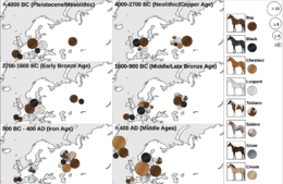 Horse phenotypes over time